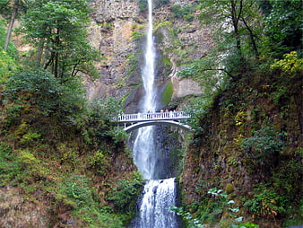 Tourists on white bridge crossing tall waterfall in lush forest