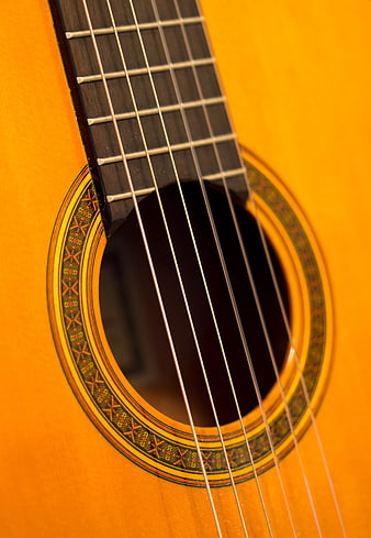 Close-up of acoustic guitar sound hole and strings