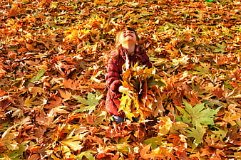 Happy child playing in autumn leaves
