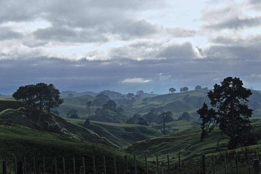 Rolling green hills and oak trees under dramatic cloudy sky