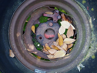 Rusty car wheel rim with moss and autumn leaves