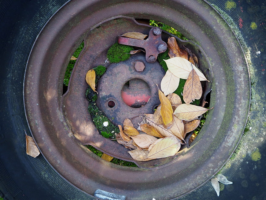 Rusty car wheel rim with moss and autumn leaves