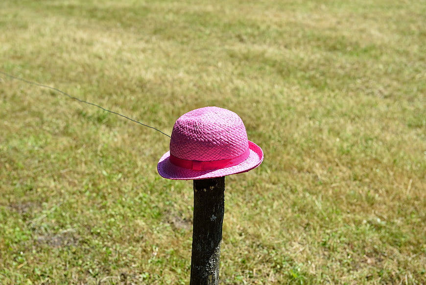 Pink straw hat on wooden fence post in grassy field