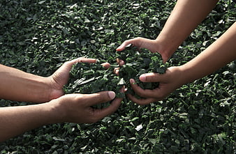 Hands Holding Green Recycled Rubber Shreds Against Textured Background