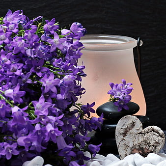 Purple flowers and zen stones with glowing lantern
