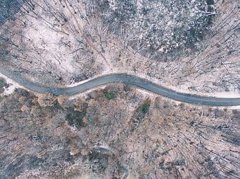 Aerial View of Winding Road Through Winter Forest