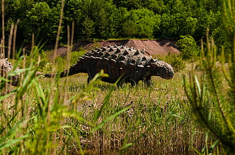 Life-size Ankylosaurus Model in Lush Green Prehistoric Park Landscape