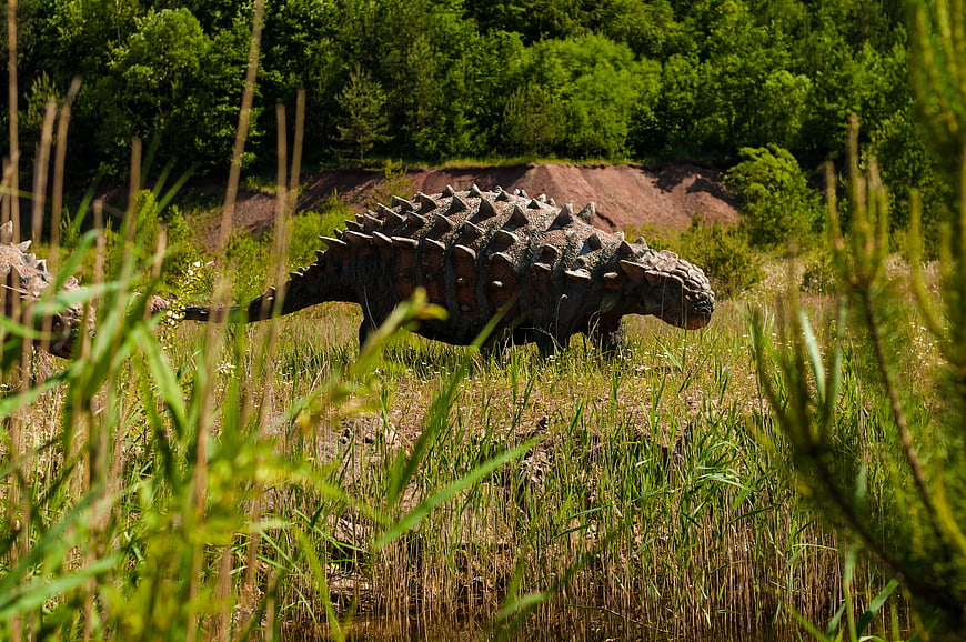 Life-size Ankylosaurus Model in Lush Green Prehistoric Park Landscape