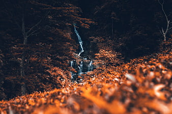 Autumn waterfall cascading through dark forest with orange leaves