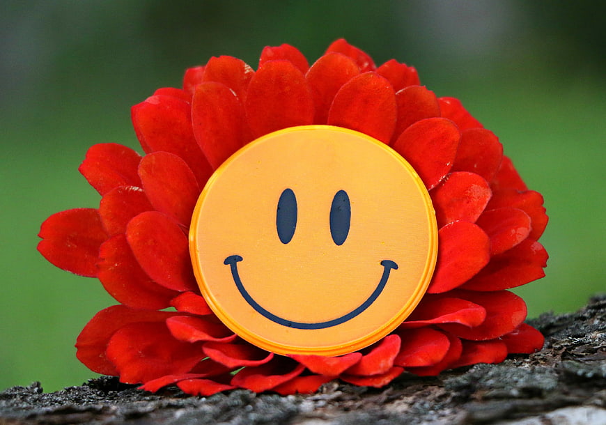 Smiley Face Button On Red Flower