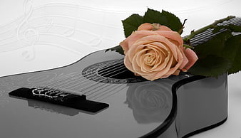 Black acoustic guitar with pink rose and sheet music background