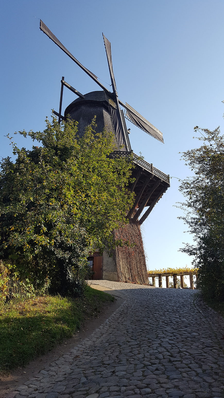 Historic German Windmill on Cobblestone Path