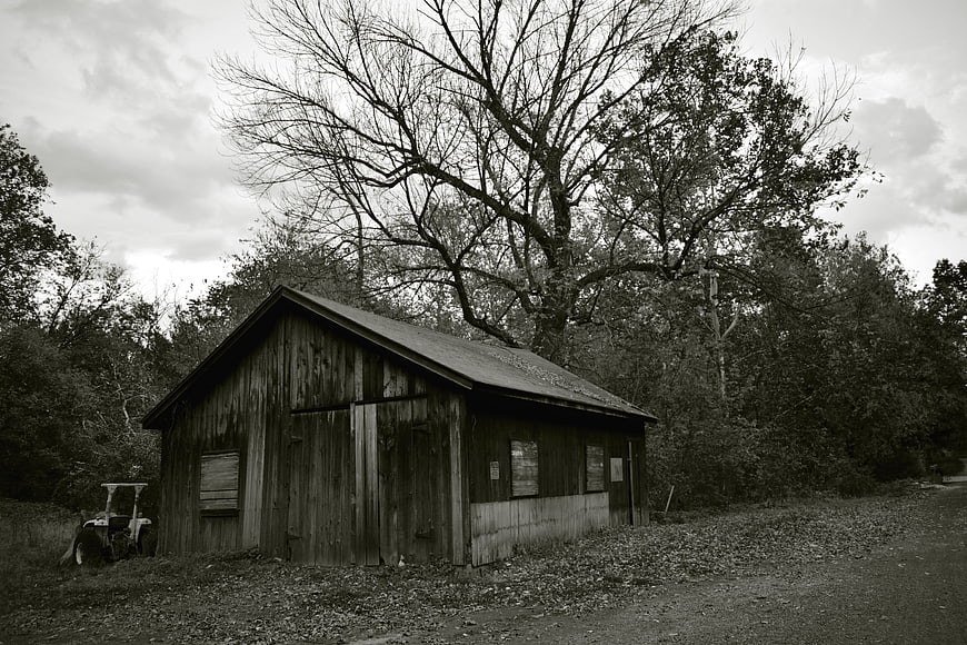 Rustic wooden barn with large tree in black and white
