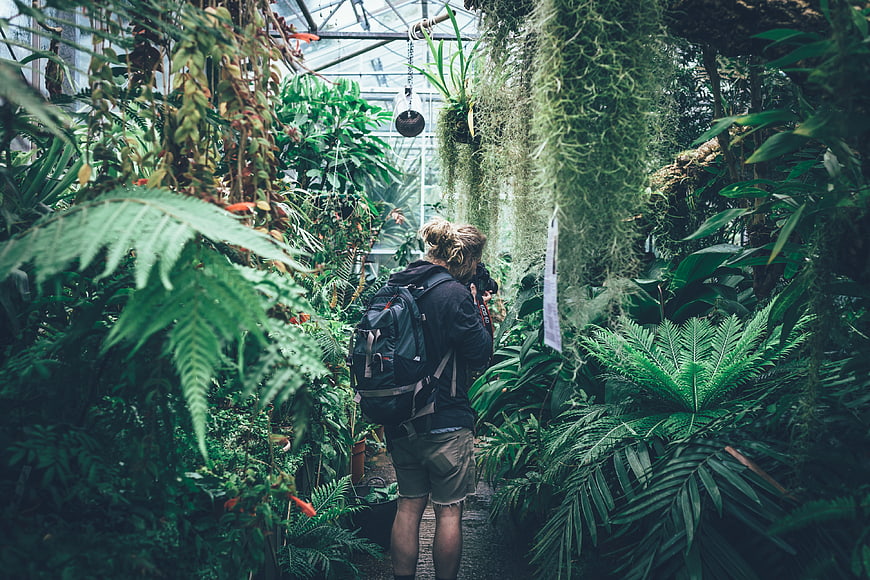 Photographer exploring lush tropical greenhouse with camera