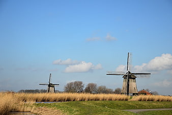 Traditional Dutch Windmills in Rural Netherlands Landscape