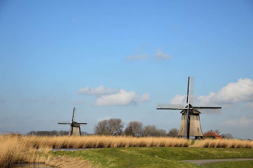 Traditional Dutch Windmills in Rural Netherlands Landscape