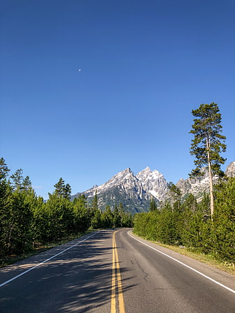 Scenic Mountain Road Trip with Blue Sky and Pine Trees