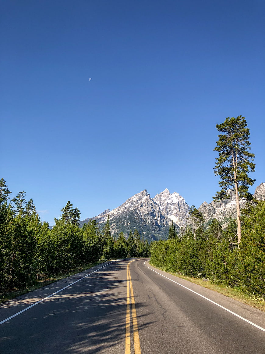 Scenic Mountain Road Trip with Blue Sky and Pine Trees