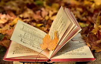 Open vintage songbook with autumn maple leaf on fallen leaves
