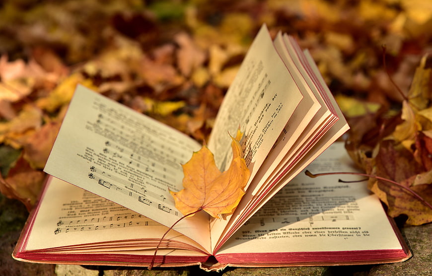 Open vintage songbook with autumn maple leaf on fallen leaves