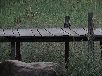 Rustic wooden dock with rope details in tall green grass