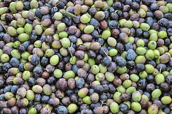 Close-up of mixed green and black olives in a pile