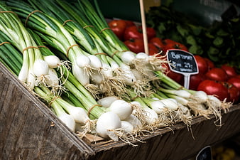 Fresh Spring Onions and Tomatoes at Farmers Market