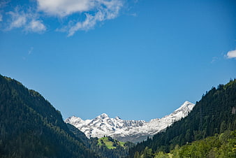 Snowy Alpine Peaks Framed by Forested Hills Under Blue Sky