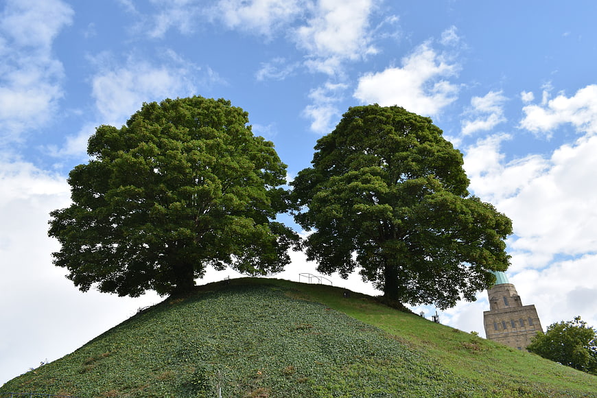 Two large green trees on a grassy hill with Oxford tower