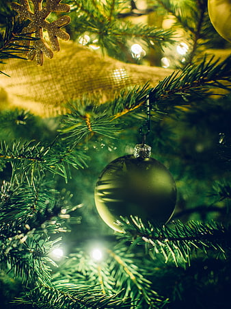 Close-up of Christmas tree with green bauble and lights