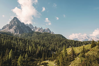 Majestic Dolomites Mountain Landscape with Pine Forest