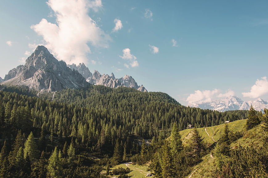 Majestic Dolomites Mountain Landscape with Pine Forest