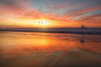 Vibrant Sunset Over Ocean Beach with Birds Flying