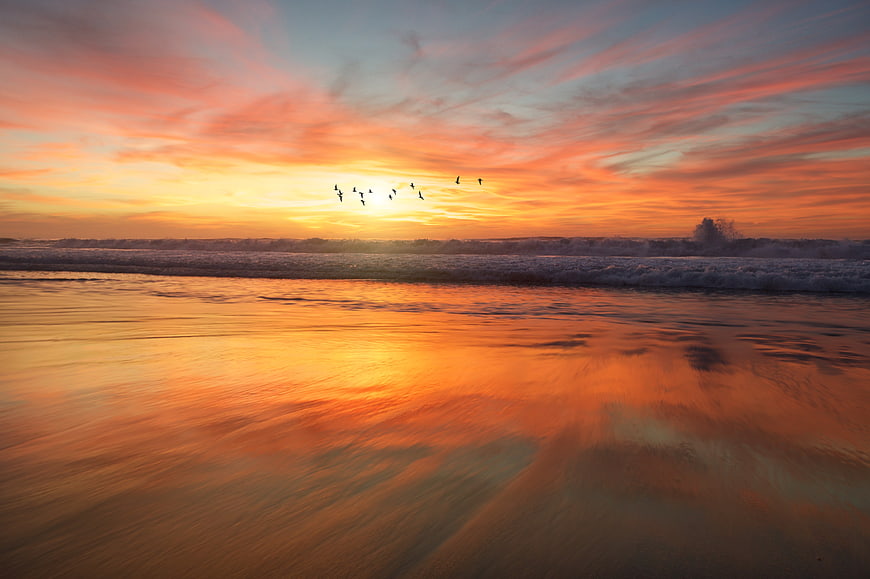Vibrant Sunset Over Ocean Beach with Birds Flying