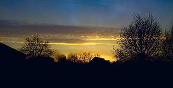 Silhouetted suburban rooftops and bare trees against a golden sunset sky