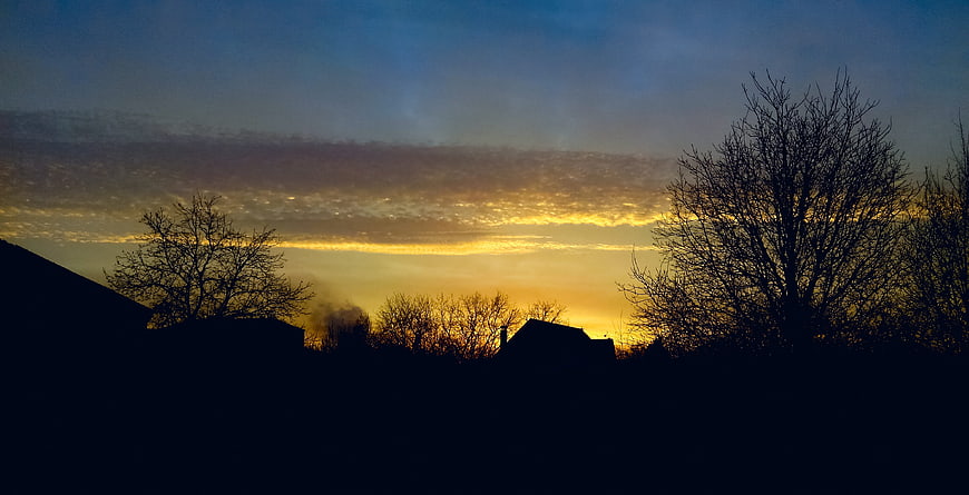 Silhouetted suburban rooftops and bare trees against a golden sunset sky