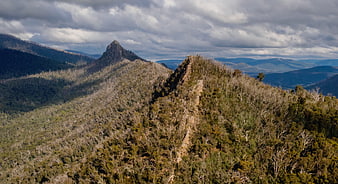 Dramatic Mountain Ridge with Forest and Cloudy Sky