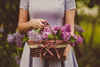 Woman holding basket of purple lilac flowers in garden