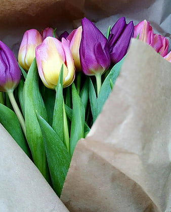 Colorful tulips wrapped in brown paper