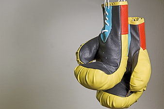 Vintage Yellow and Black Boxing Gloves Hanging