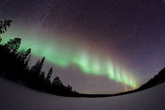 Green Aurora Borealis Over Snowy Forest at Night