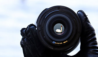 Gloved hand holding camera lens with swan reflection