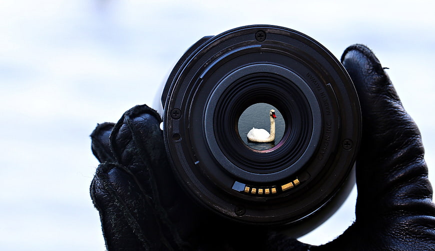 Gloved hand holding camera lens with swan reflection