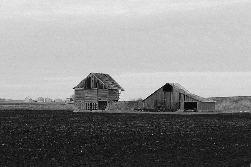 Black and white photo of weathered barns in rural field