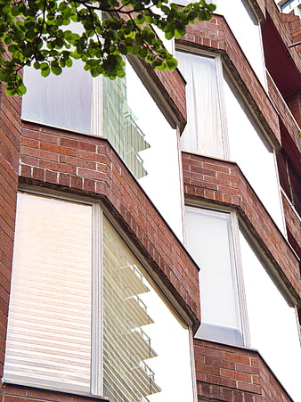 Modern Brick Building Facade with Windows and Tree Branches