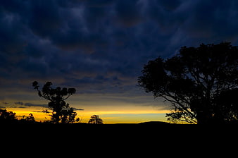 Dramatic Sunset Silhouette with Dark Clouds and Trees