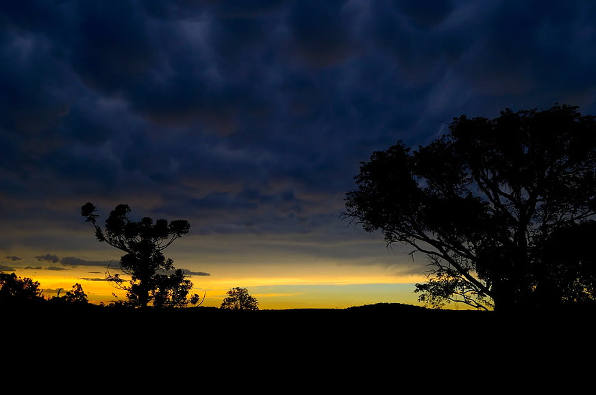 Dramatic Sunset Silhouette with Dark Clouds and Trees