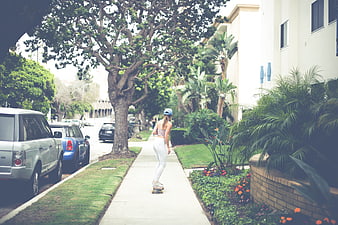 Woman Skateboarding Down Tree-Lined Residential Street