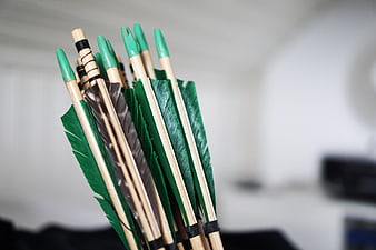 Close-up of wooden archery arrows with green fletching and nocks