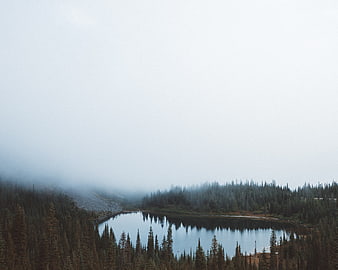 Misty Mountain Lake Surrounded by Pine Forest